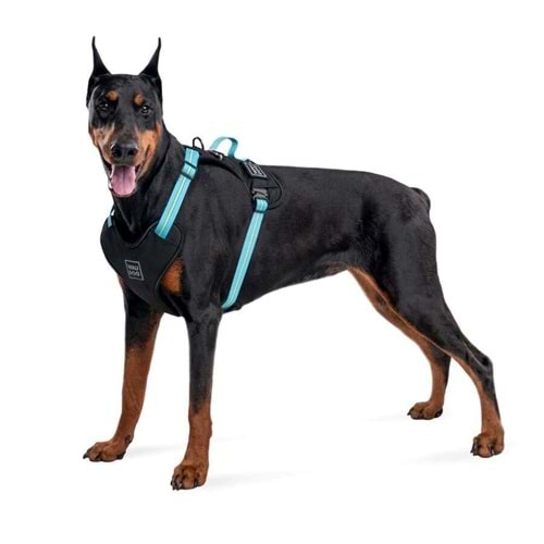 Collar Waudog Fosforlu ve QR Pasaportlu Köpek Göğüs Tasması L Mavi 25mm (52502)
