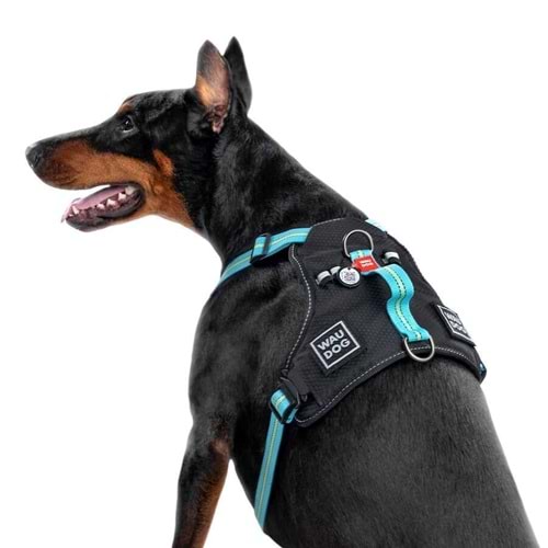 Collar Waudog Fosforlu ve QR Pasaportlu Köpek Göğüs Tasması XL Mavi 25mm (52512)