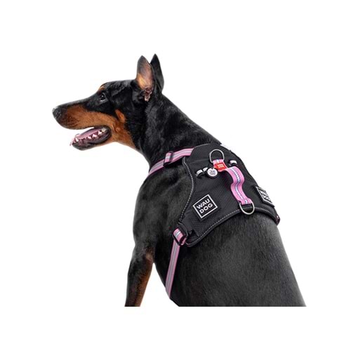 Collar Waudog Fosforlu ve QR Pasaportlu Köpek Göğüs Tasması XL Pembe 25mm (52517)