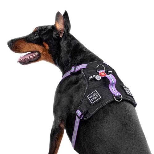 Collar Waudog Fosforlu ve QR Pasaportlu Köpek Göğüs Tasması L Mor 25mm (52509)